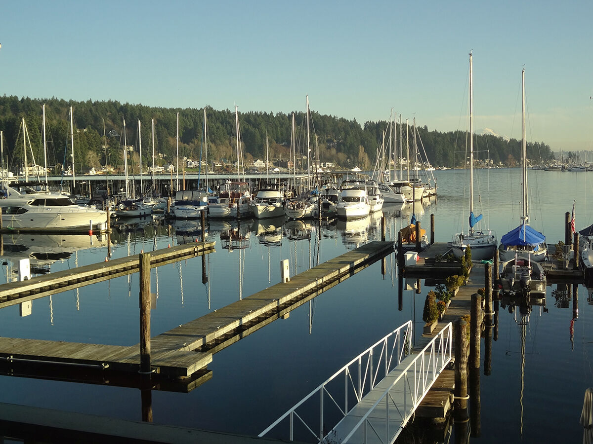 Best of the South Sound 2019